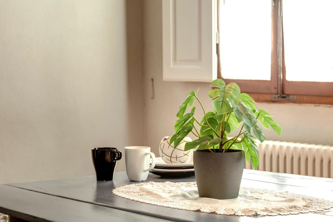 Zita Apartment By Mamo פירנצה מראה חיצוני תמונה